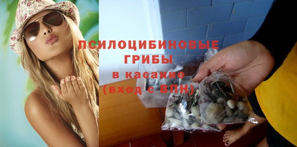 хмурый Нея