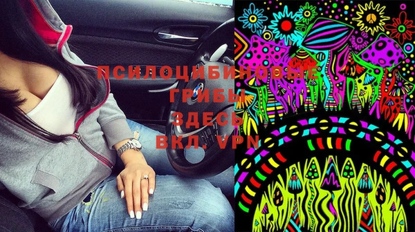 хмурый Нея