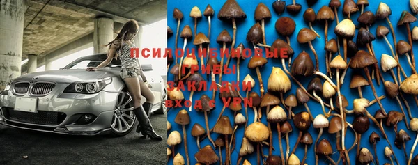 круглые Новозыбков
