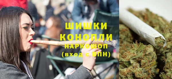 хмурый Нея