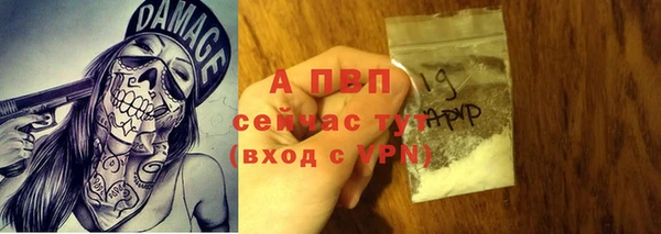 гидра Яранск