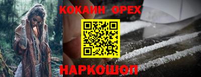 амф Дубна