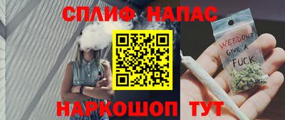 амф Дубна