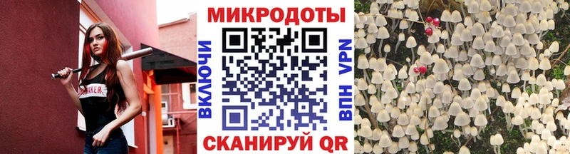 Галлюциногенные грибы Cubensis  Таганрог 