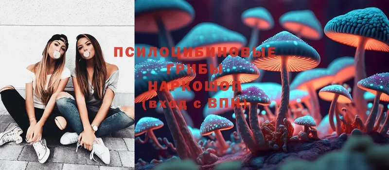 Псилоцибиновые грибы Cubensis  купить наркотики сайты  Таганрог 