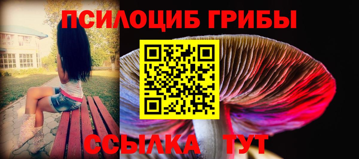 Галлюциногенные грибы MAGIC MUSHROOMS  Вход с VPN  Таганрог 