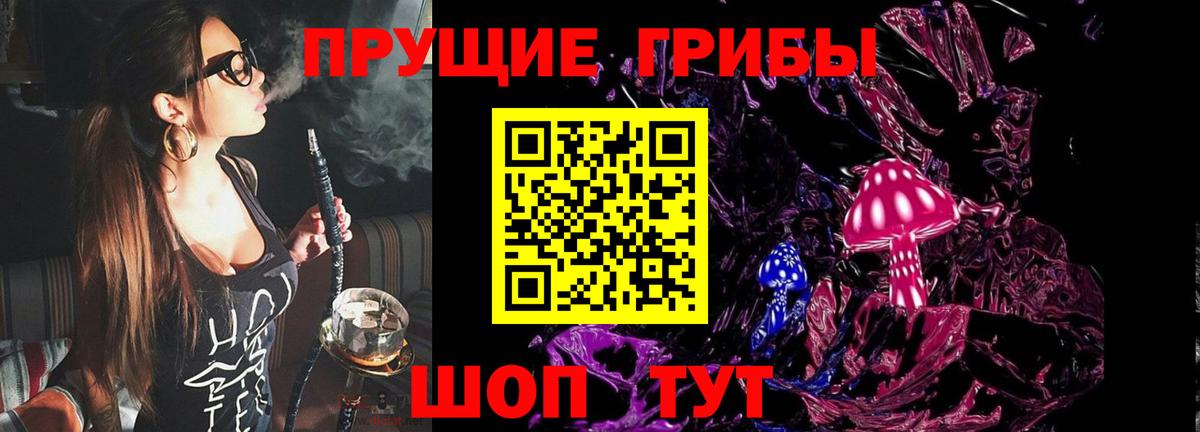 Галлюциногенные грибы GOLDEN TEACHER Таганрог